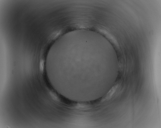 X0000086940070200705141810