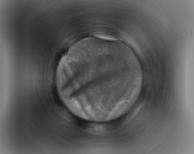 X0000086940073200705141810