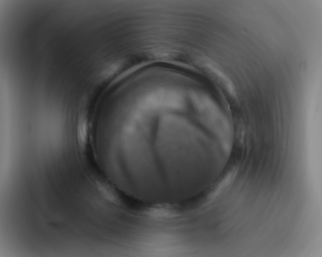 X0000086940076200705141810