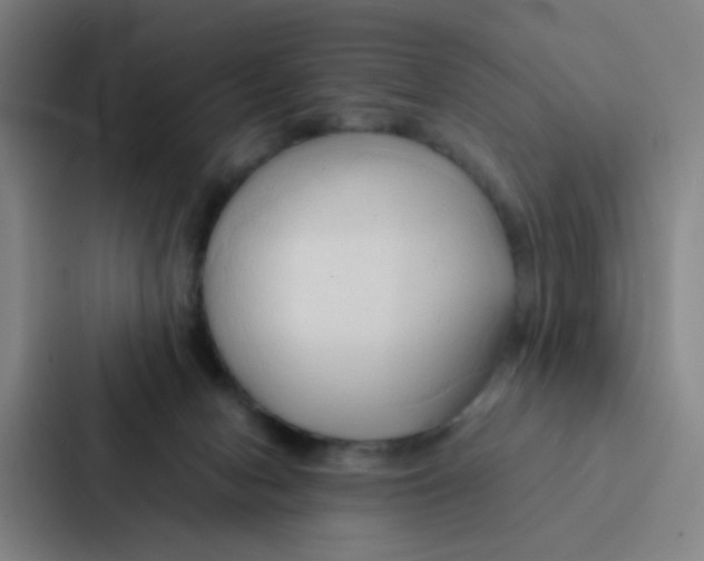 X0000086940078200705141810