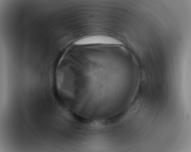 X0000086940080200705141810