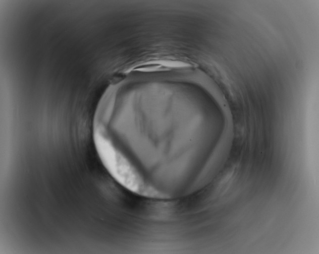 X0000086940081200705141810