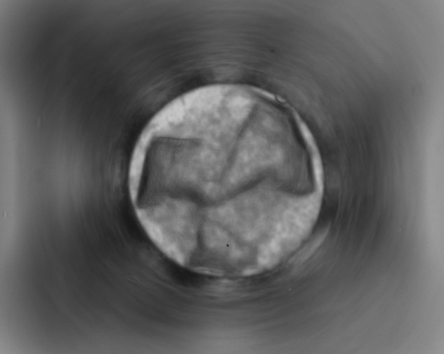 X0000086940082200705141810