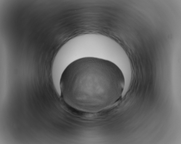 X0000086940084200705141811