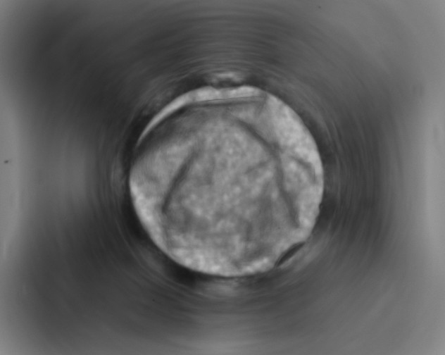 X0000086940086200705141811