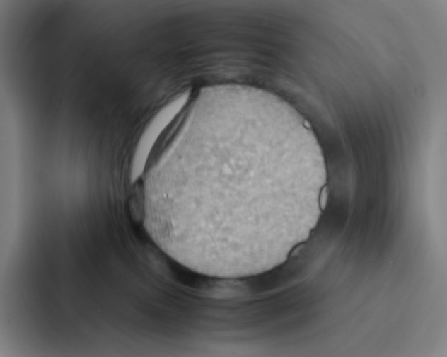X0000086940087200705141811