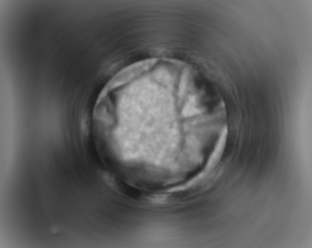 X0000086940090200705141811