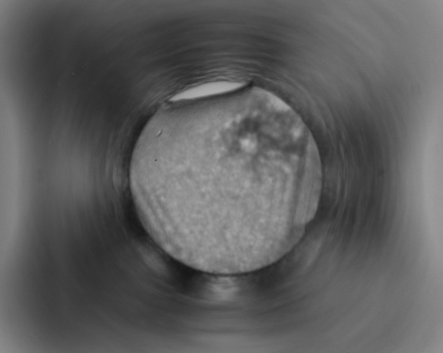 X0000086940091200705141811