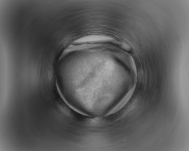 X0000086940092200705141811