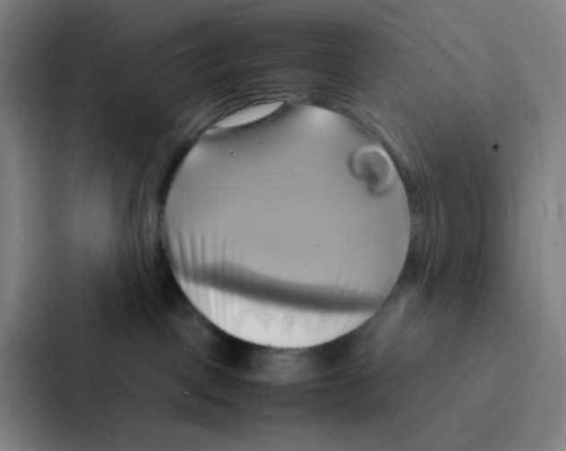 X0000086940093200705141811