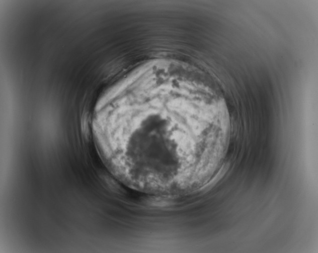X0000086940094200705141811