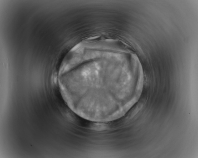 X0000086940095200705141811