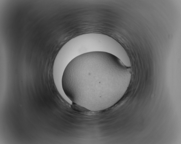 X0000086940096200705141811