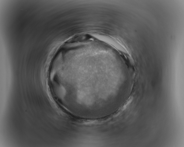 X0000086940097200705141810