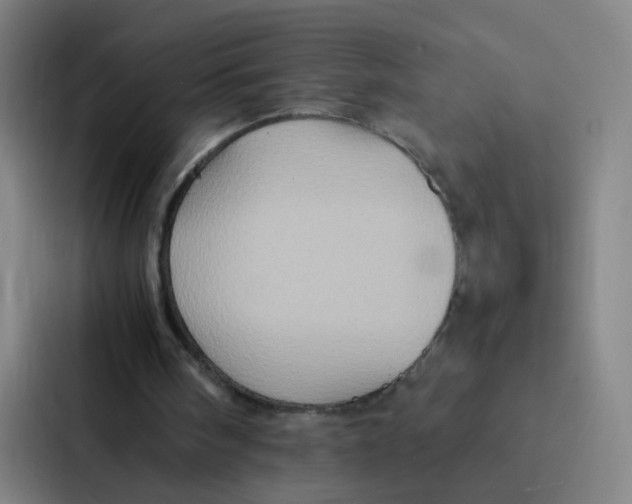 X0000086940098200705141810