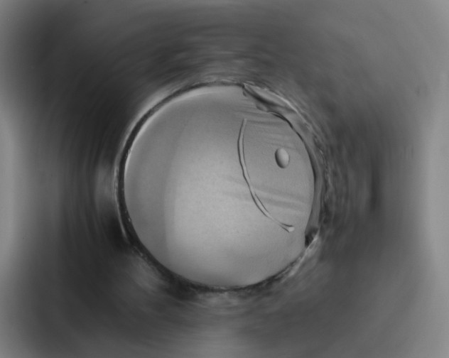 X0000086940100200705141810