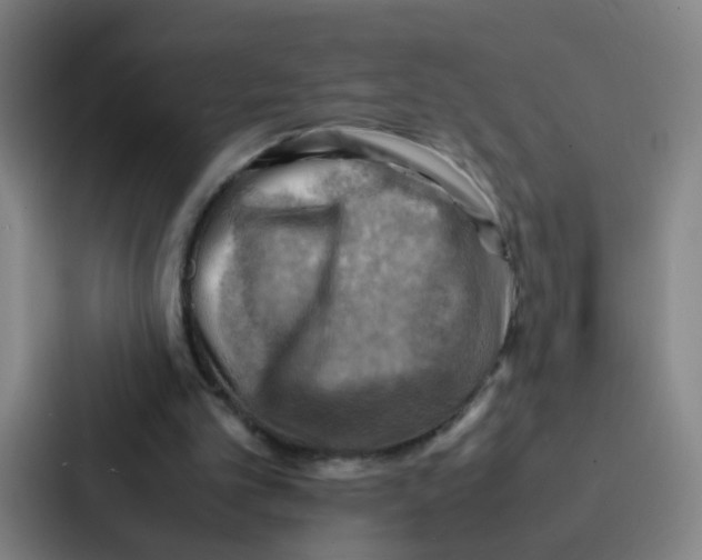 X0000086940101200705141810