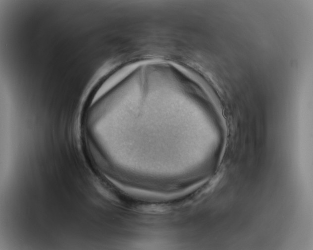 X0000086940102200705141810