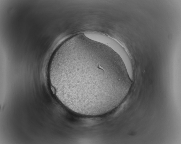 X0000086940103200705141810