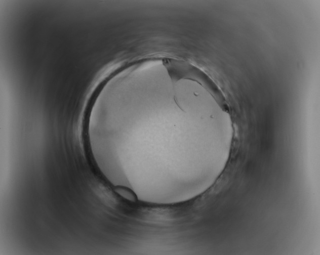 X0000086940104200705141810