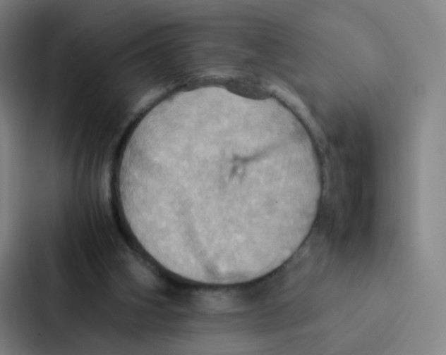 X0000086940106200705141810