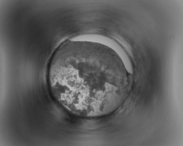 X0000086940107200705141810