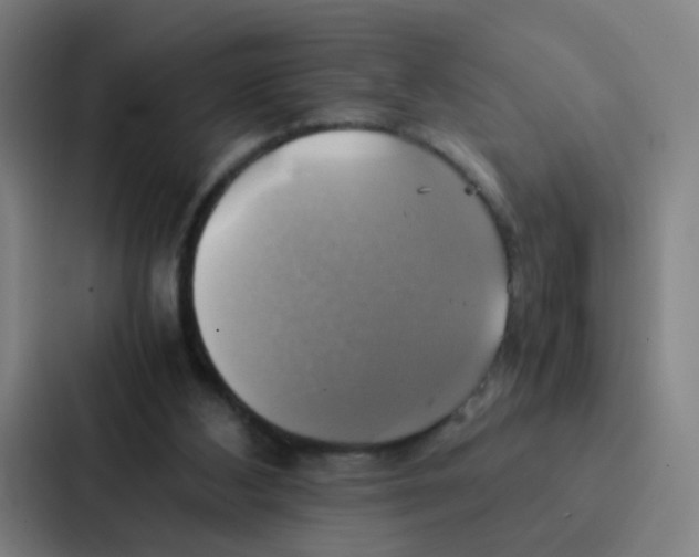 X0000086940108200705141810