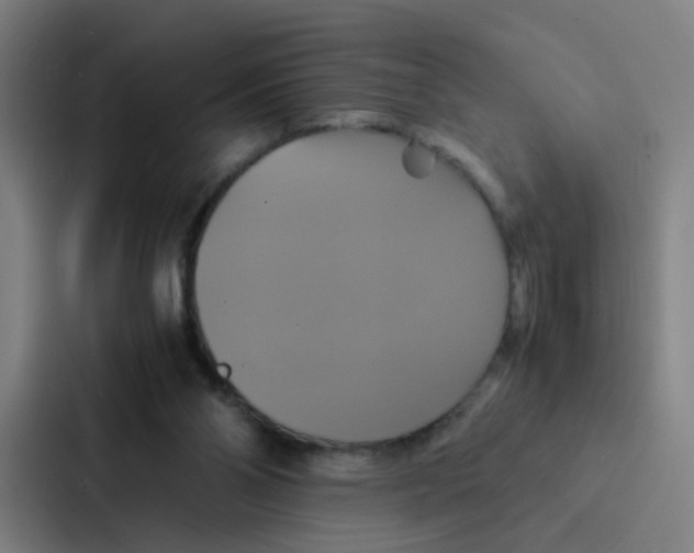 X0000086940110200705141810