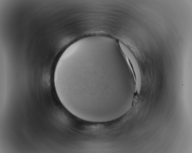 X0000086940112200705141810