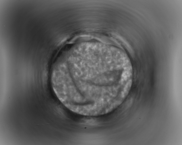 X0000086940113200705141810