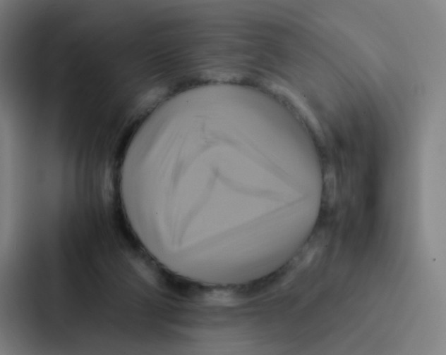 X0000086940114200705141810