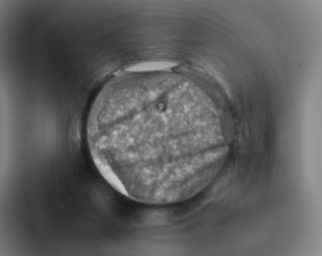 X0000086940115200705141810
