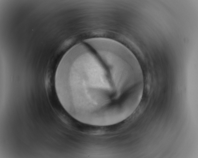 X0000086940116200705141810
