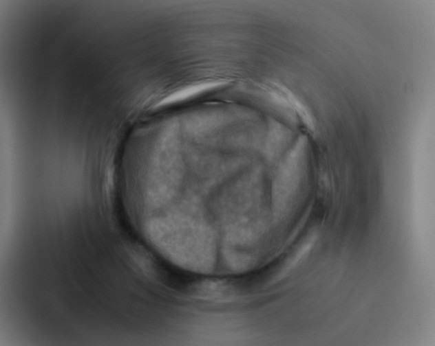 X0000086940117200705141810