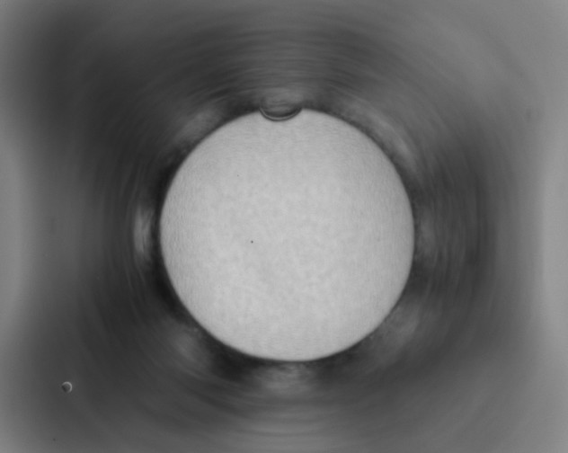 X0000086940118200705141810