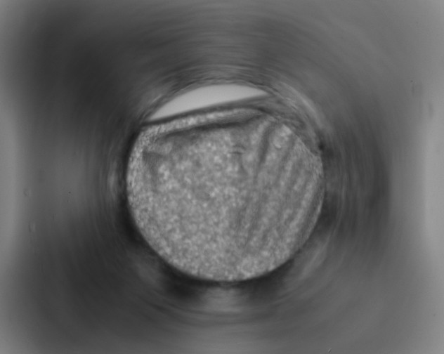 X0000086940119200705141810