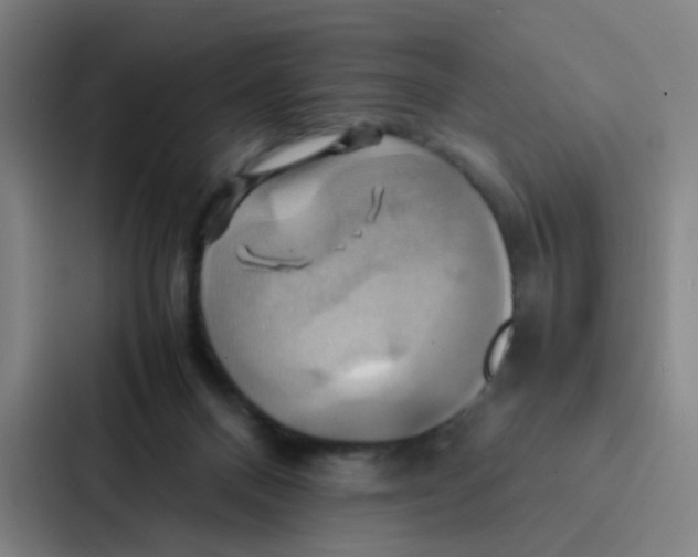X0000086940120200705141810