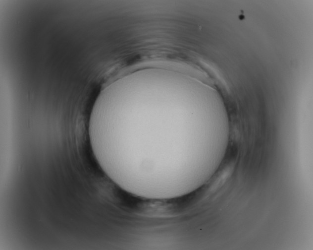 X0000086940121200705141810