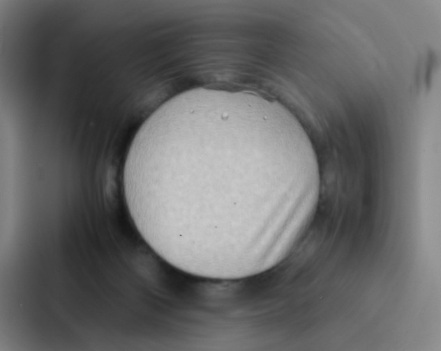 X0000086940122200705141810
