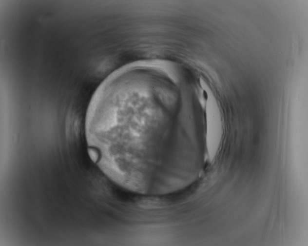 X0000086940123200705141810