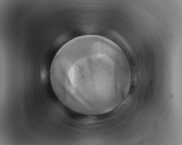 X0000086940124200705141810