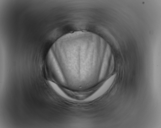 X0000086940125200705141810