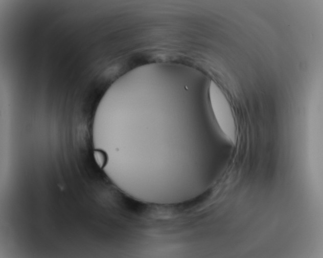 X0000086940127200705141810