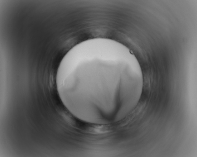 X0000086940130200705141810