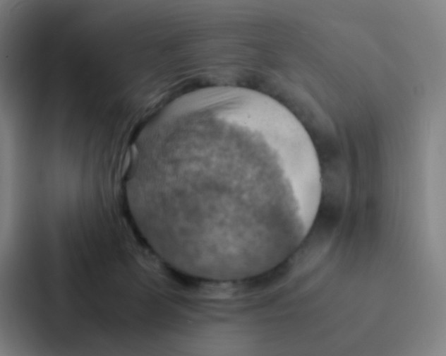 X0000086940131200705141810