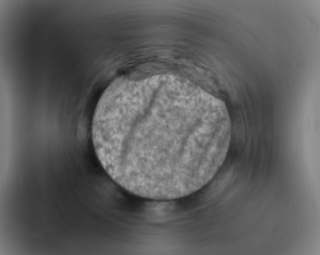 X0000086940135200705141810