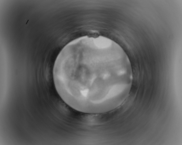 X0000086940136200705141810