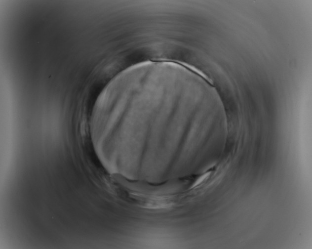 X0000086940137200705141810