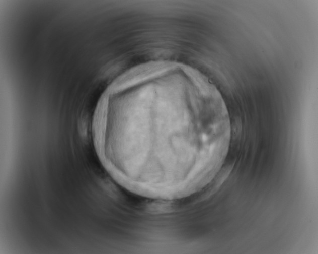 X0000086940138200705141809