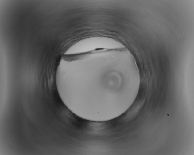X0000086940139200705141809